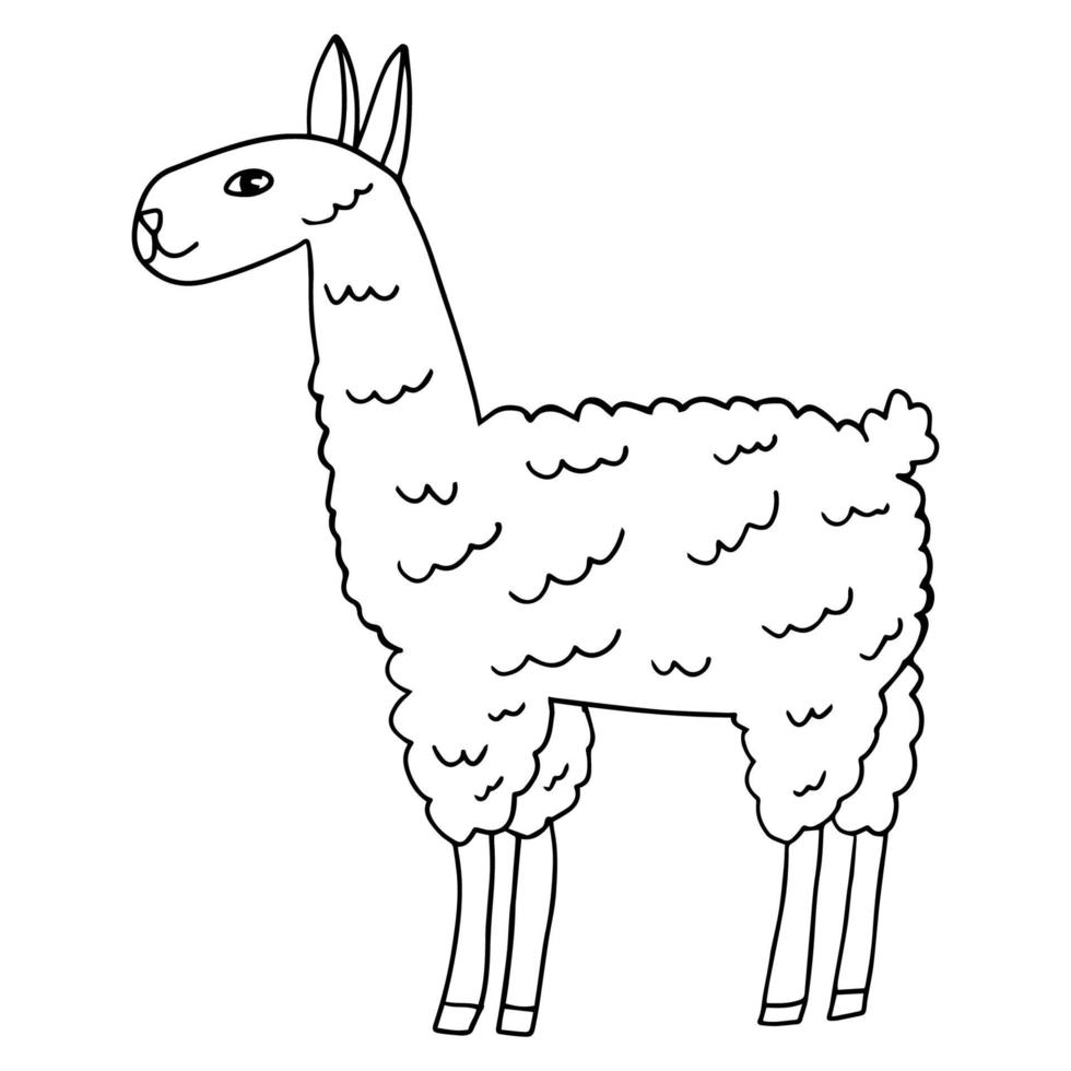 schattige cartoon doodle lama geïsoleerd op een witte achtergrond. vector