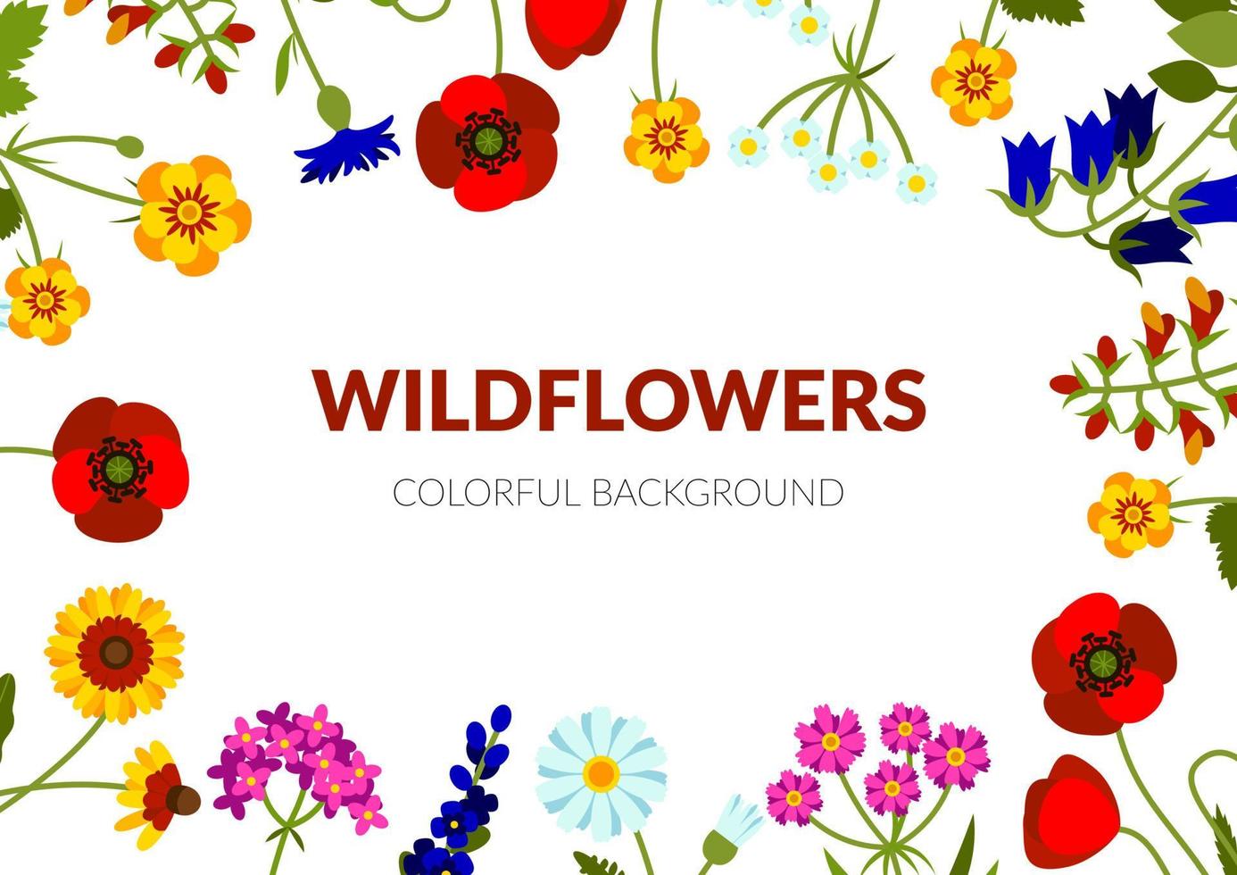 horizontale zomerbanner met wilde bloemen, waaronder duizendblad, echinacea, korenbloem, klaproos, leeuwebek, klokje, lavendel, kamille, boterbloem. vector illustratie