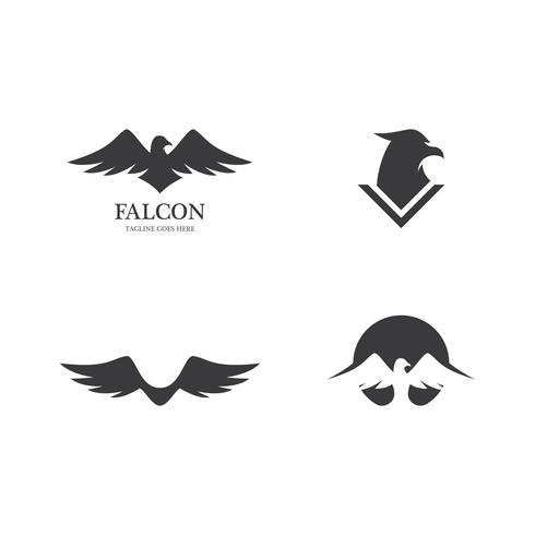 Falcon Eagle Bird-sjabloon vector