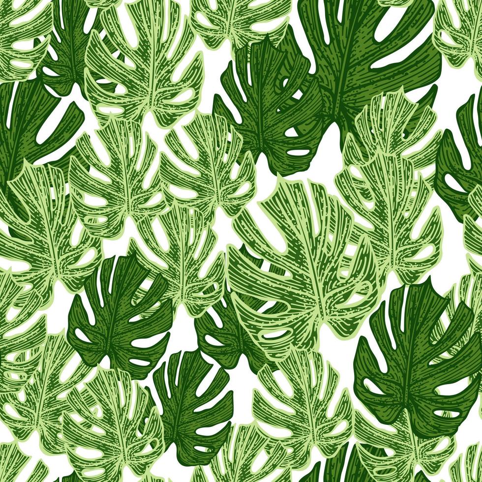 gravure blad monstera naadloze patroon. vintage bladeren achtergrond. vector