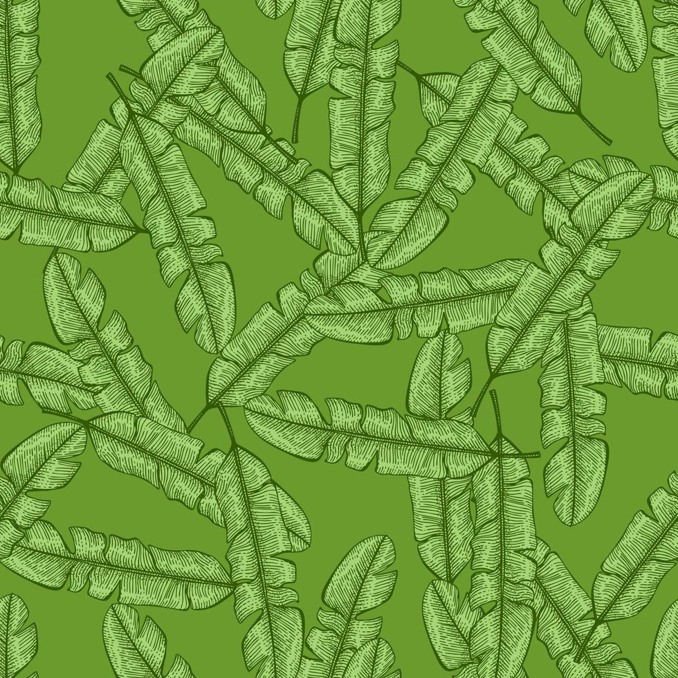 bananenbladeren naadloze pattern.vintage tropische tak in gravure stijl. vector