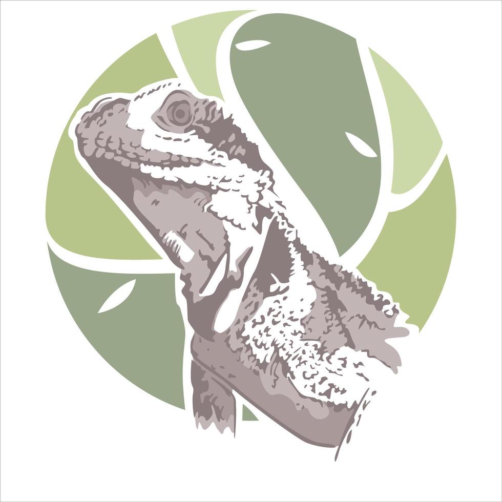 elegant komodo park logo symbool vector