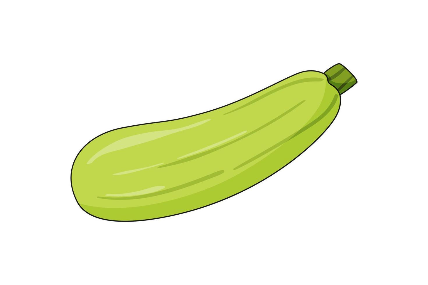 courgette vectorillustratie getekend in cartoon-stijl vector