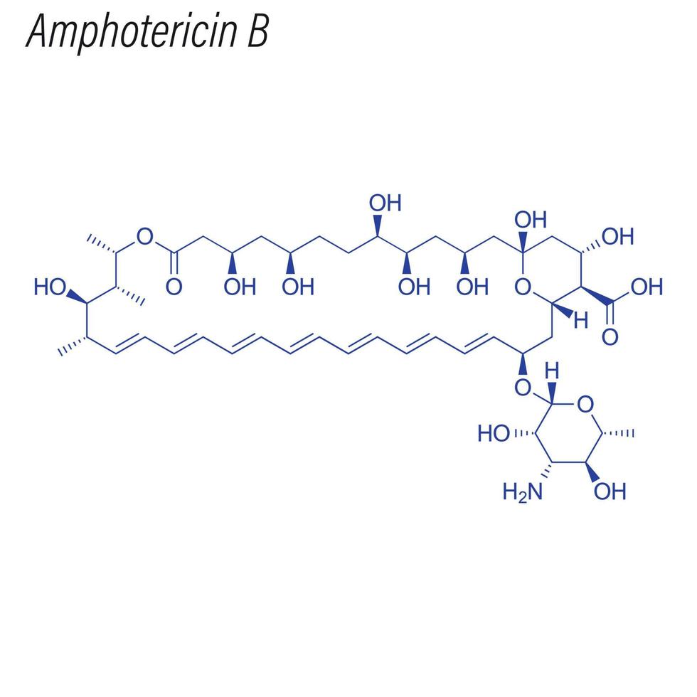 vector skeletformule van amfotericine b.