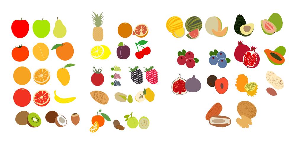Set van fruit pictogrammen vector