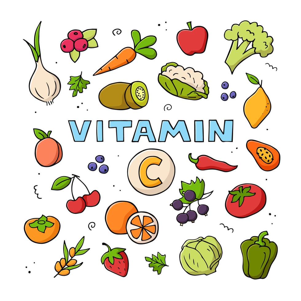 set van vitamine c bronnen. hand getekend vectorillustratie kleur. doodle natuurvoeding. vector