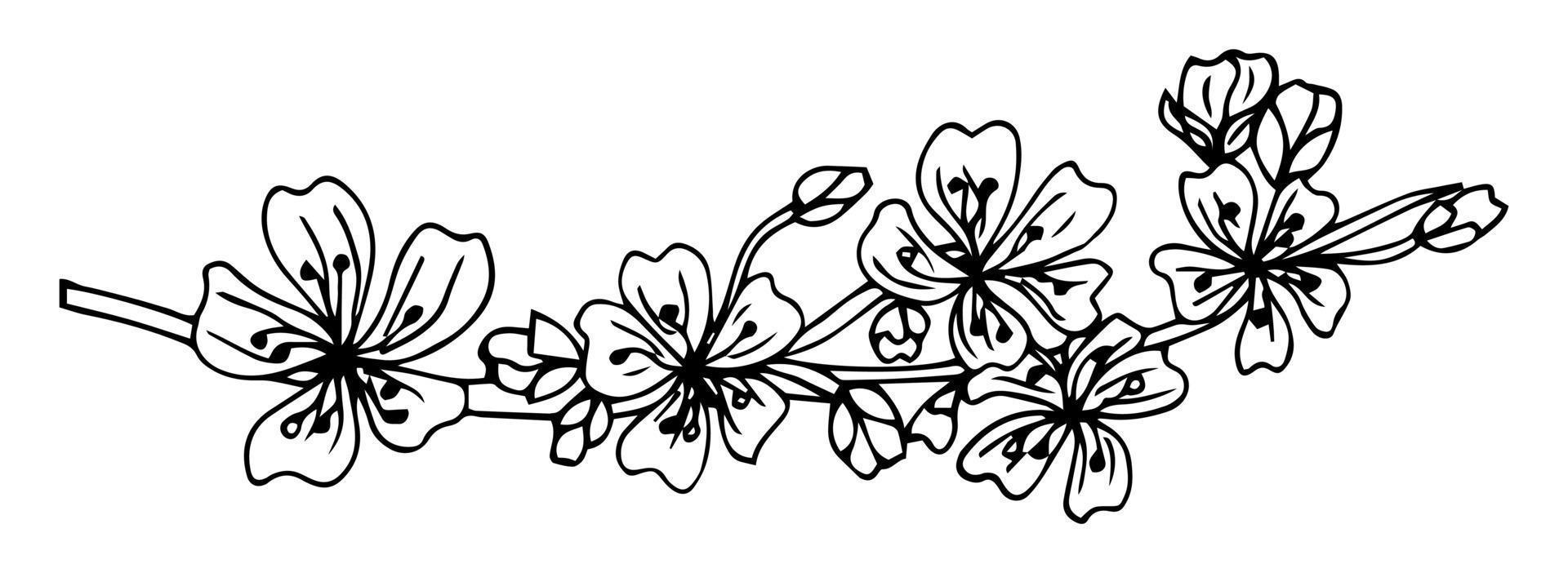 bloemen botanie schets collectie. appelboomtak met bloemenpatronen. handgetekende botanische illustraties. vector