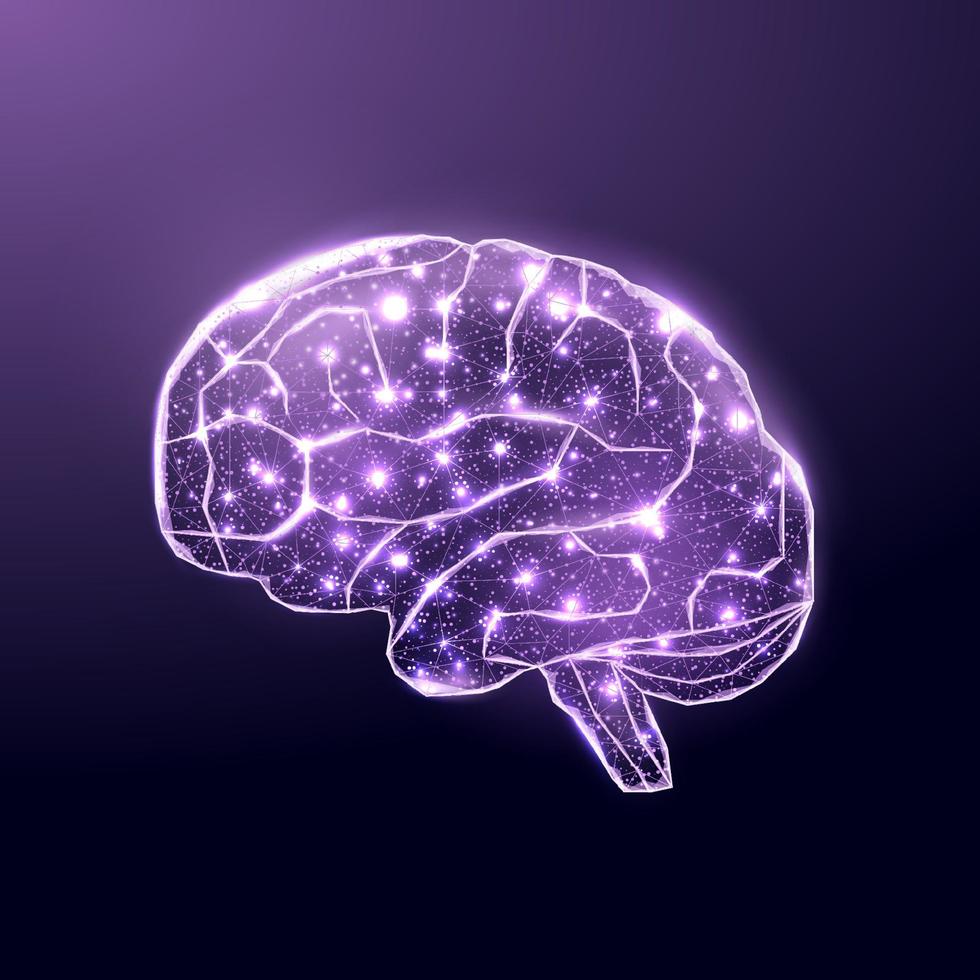 menselijke brein. draadframe laag poly-stijl. concept voor medisch, hersenkanker, neuraal netwerk. abstracte moderne 3d vectorillustratie op donkerblauwe achtergrond. vector