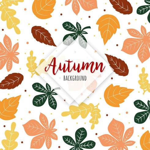 Mooie herfst kleurrijke bladeren achtergrond vector