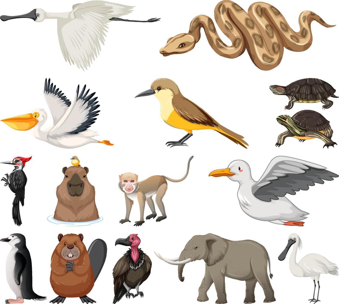 verschillende soorten dieren collectie vector