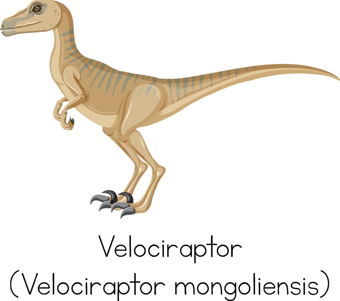 woordkaart voor velociraptor staand vector