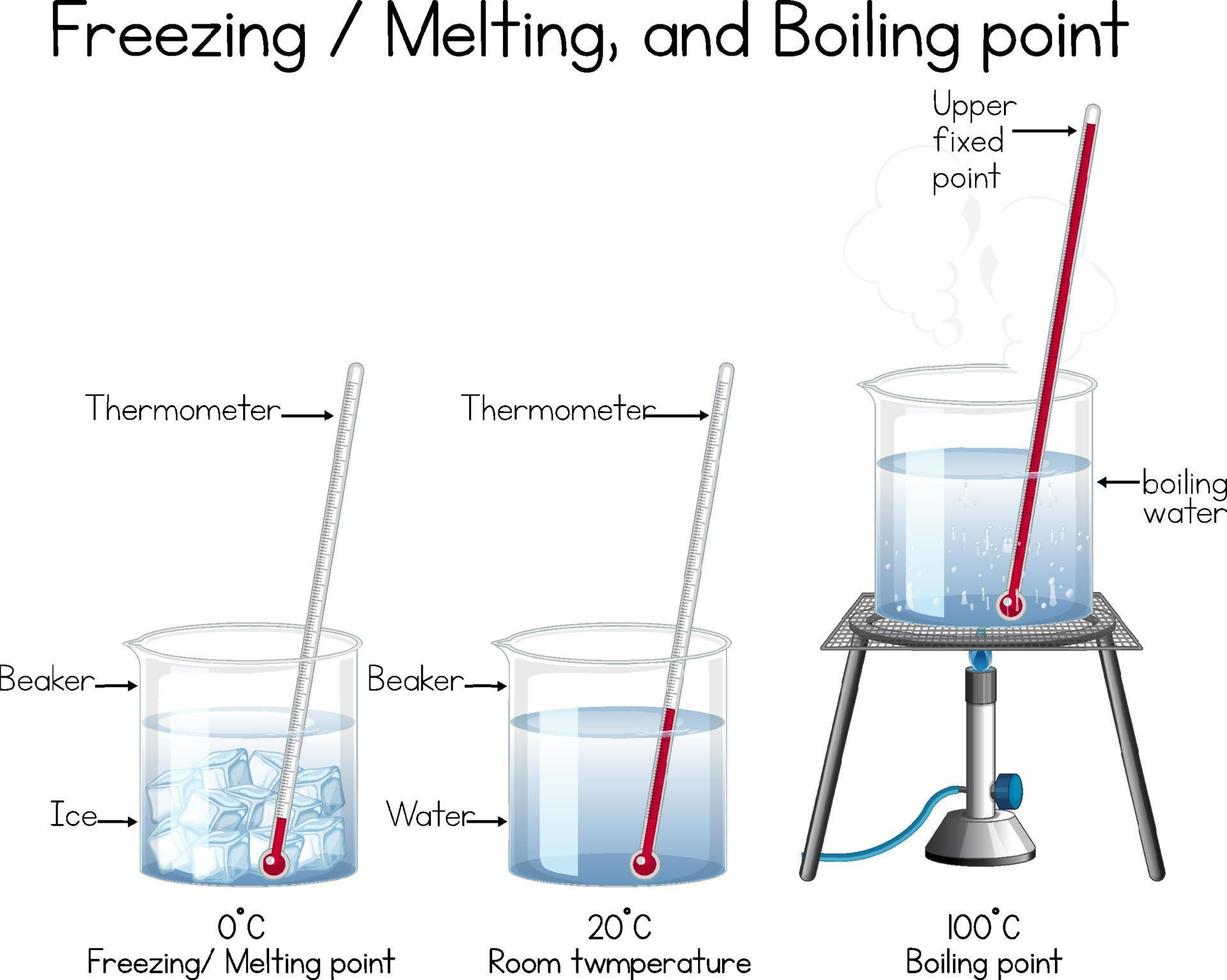 wetenschappelijk experiment met watertemperatuur vector