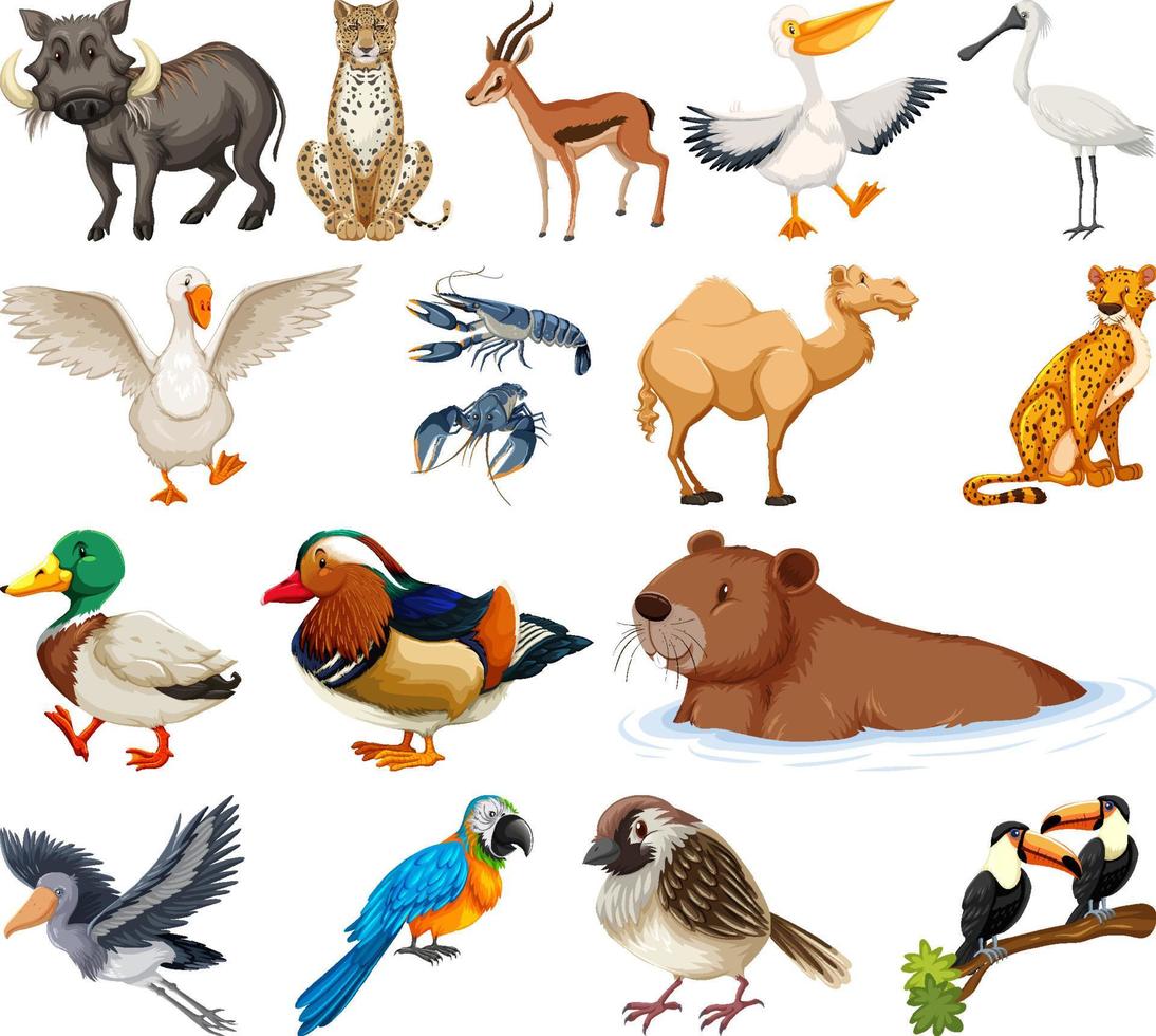 verschillende soorten dieren collectie vector