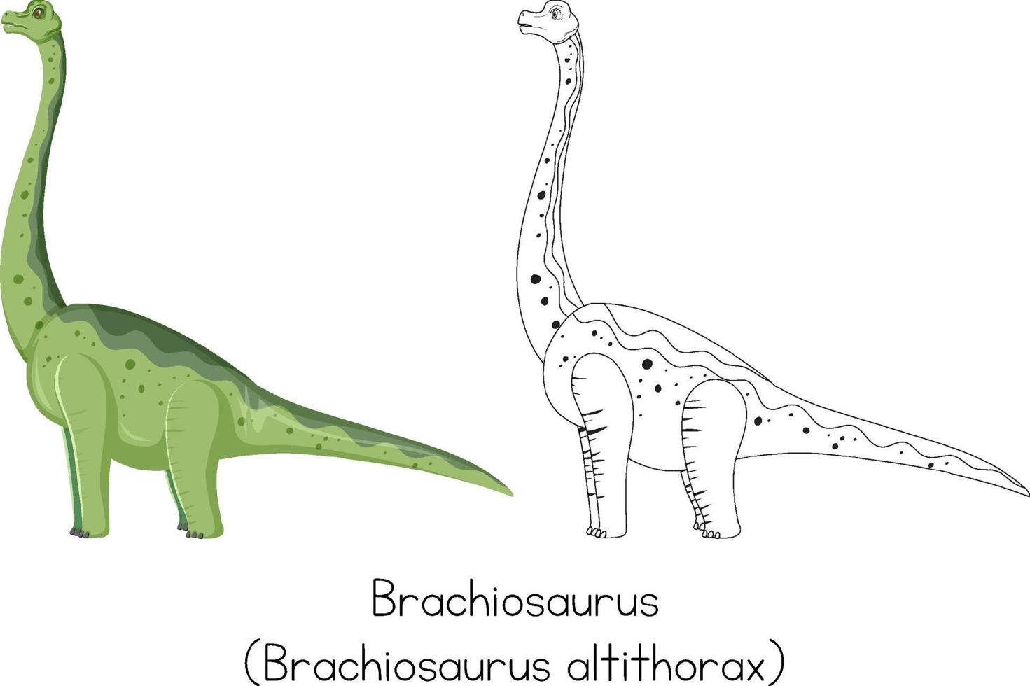 dinosaurus schetsen van brachiosaurus vector