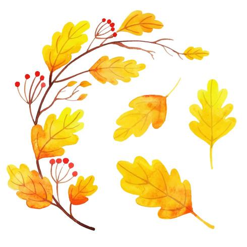 Set van gele herfstbladeren vector