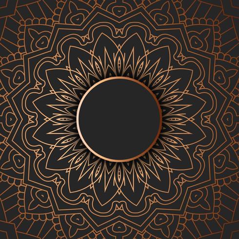 Tribal mandala ontwerp vector