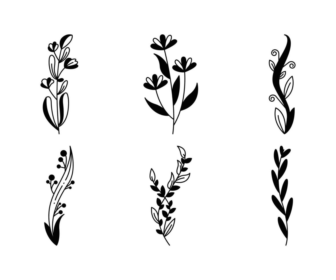 bloemen en bladeren, bloemendecoratie vectorillustratie vector
