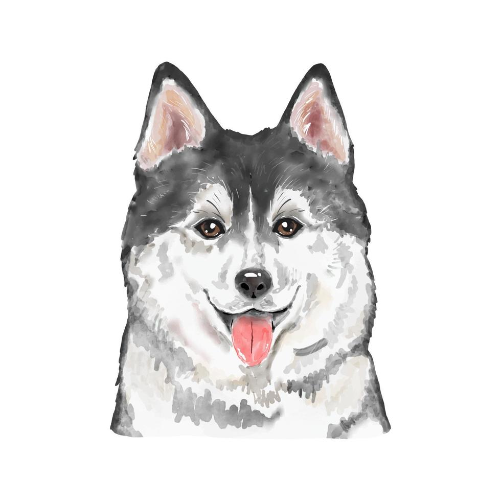 hond Siberische husky aquarel schilderij. schattige puppy dier geïsoleerd op een witte achtergrond. realistische schattige hond portret vectorillustratie vector