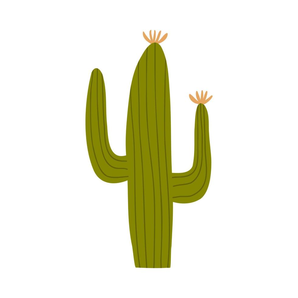 cactus in platte handgetekende stijl. wilde westen, woestijn, planten. vectorillustratie geïsoleerd op een witte achtergrond vector