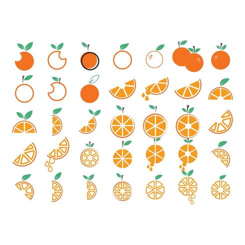 Oranje fruitcollectie set vector