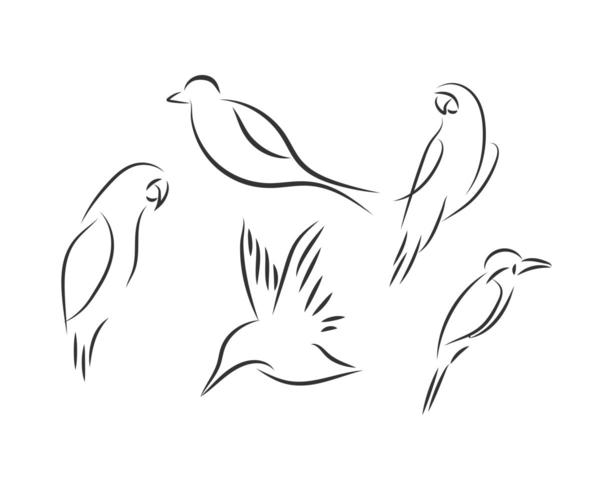 Lijn vogel logo set vector