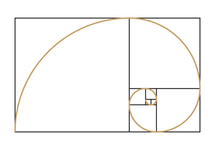 Fibonacci spiraal symbool vector