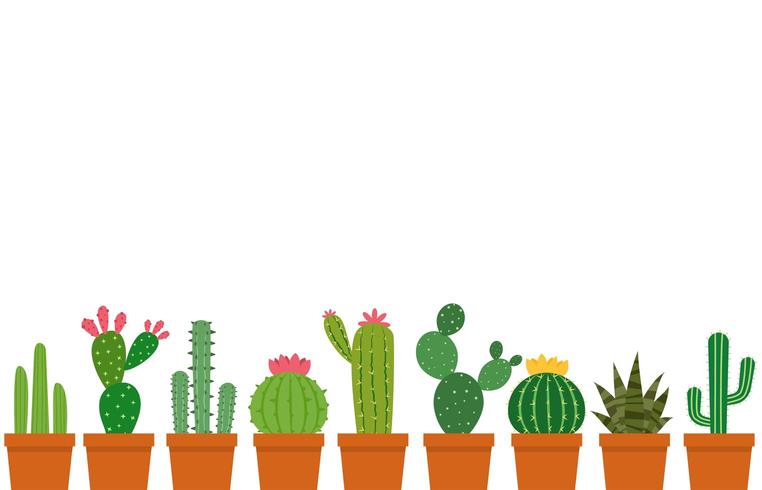 Kleine cactus pot set vector