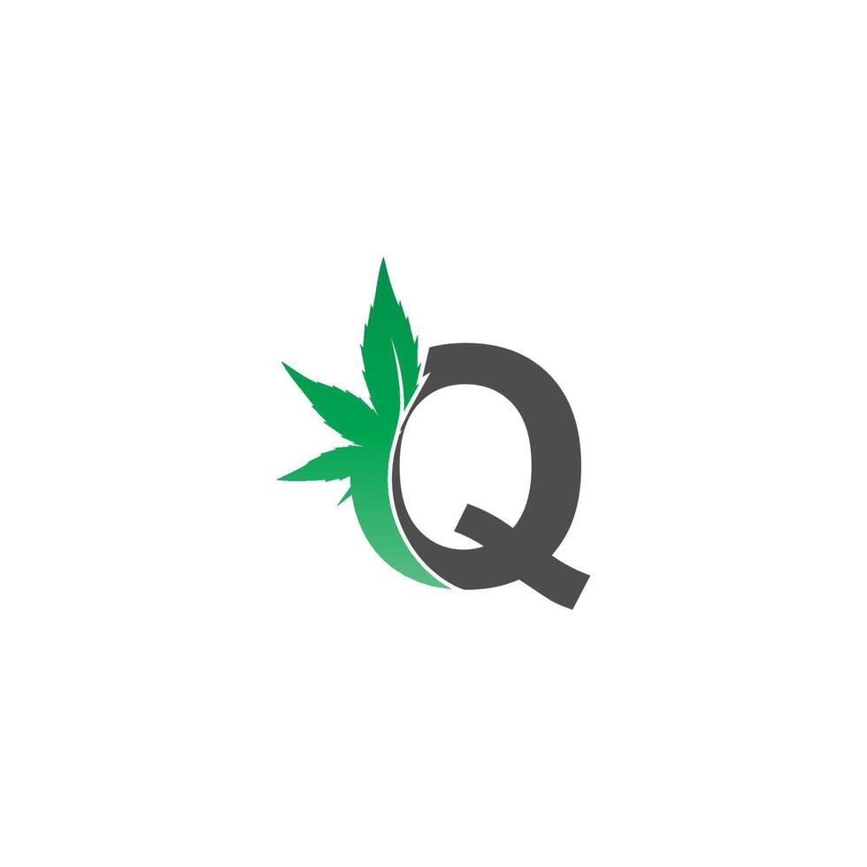 letter q logo icoon met cannabis blad ontwerp vector