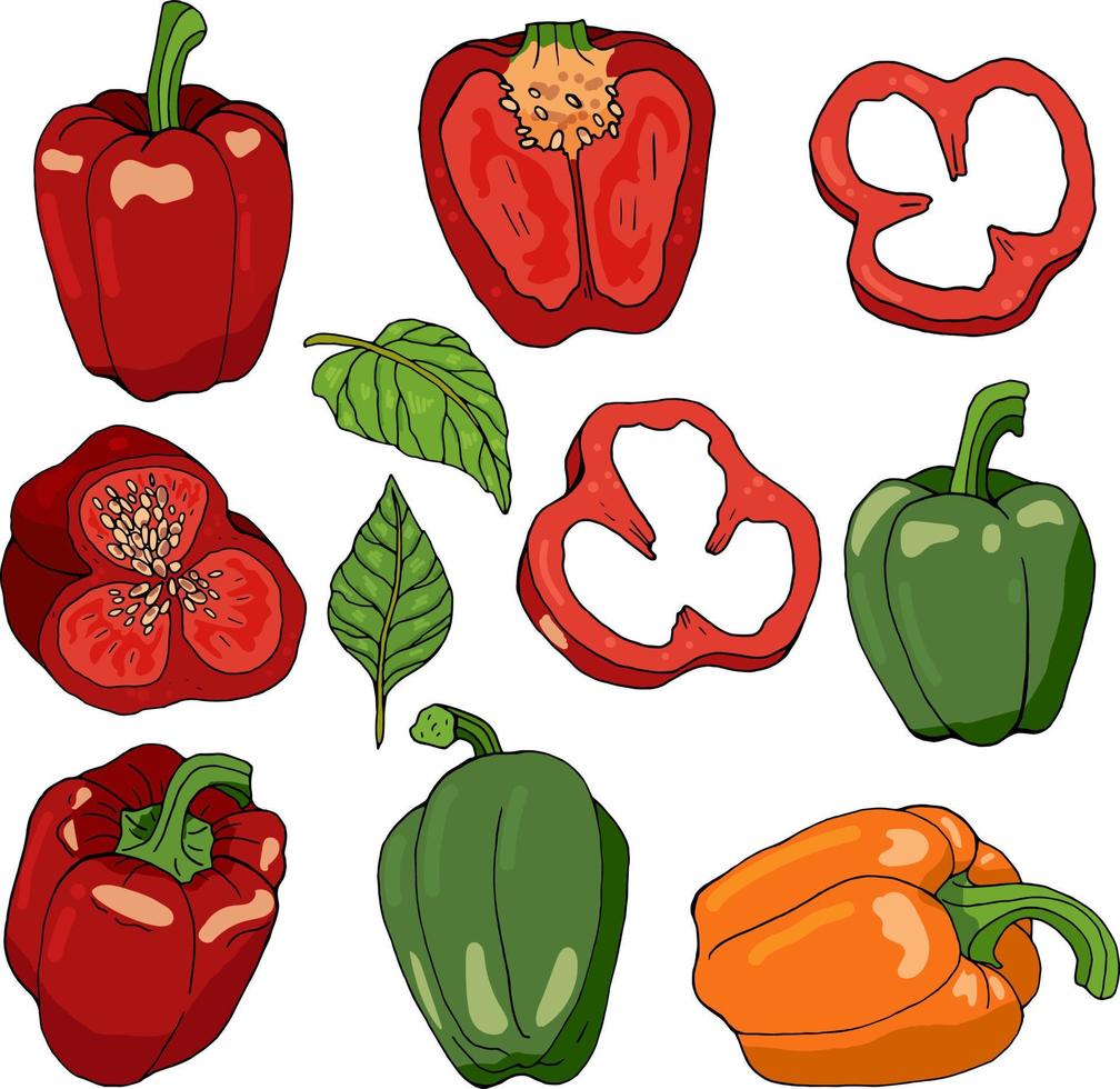 set met paprika op witte achtergrond. paprika, paprika segmenten en bladeren geïsoleerd op wit. rode, groene en gele paprika's op wit vector
