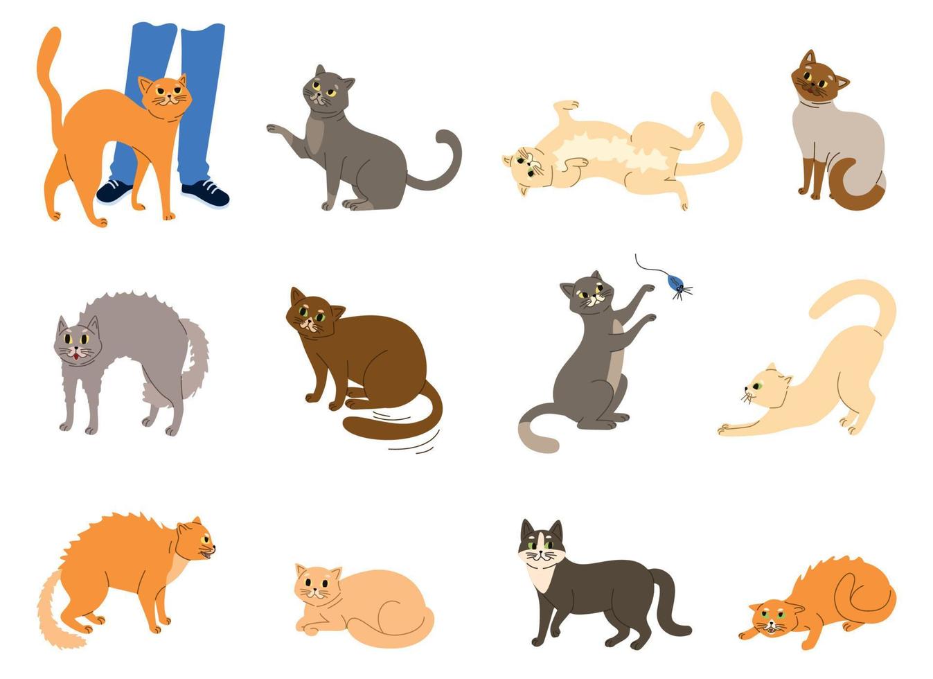 katten emoties lichaamstaal set vector