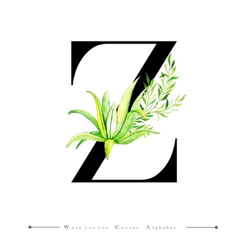 Alfabet Letter Z met aquarel cactus en bladeren vector