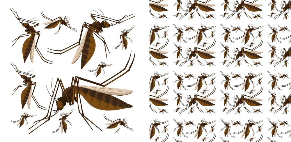 Naadloos en geïsoleerd insectenpatroon vector