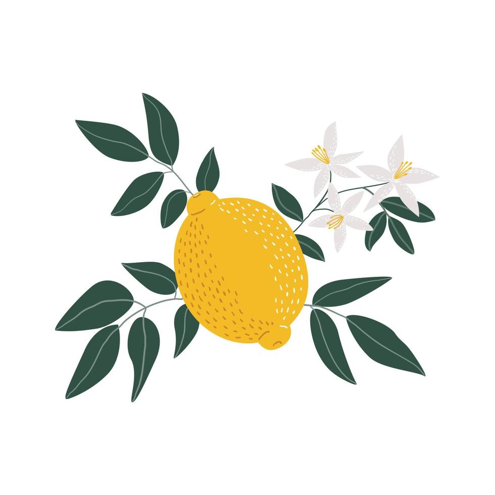 gele citroen met bladeren en bloemen illustratie op witte achtergrond. geïsoleerde elementen. ontwerp voor cosmetica, spa, gezondheidsproducten vector