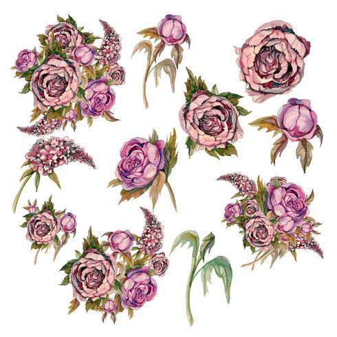 Set van delicate aquarel bloemen. Rozen pioenrozen seringen. vector