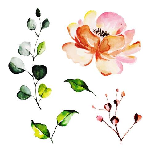 Mooie aquarel bloemen en bladeren vector