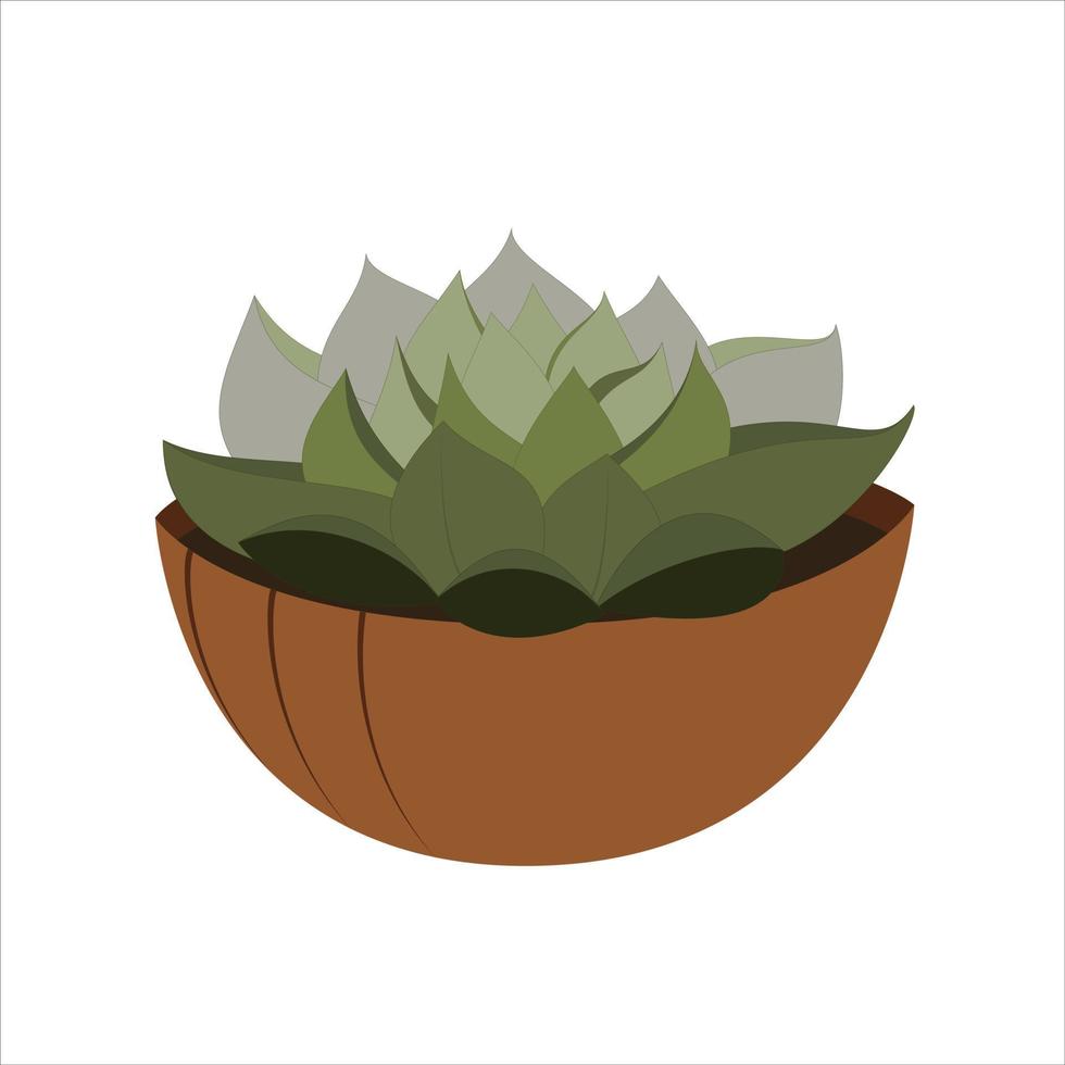 sappig in een bloempot geïsoleerd op wit. plant voor interieur van huis of kantoor. vectorillustratie in vlakke stijl. vector