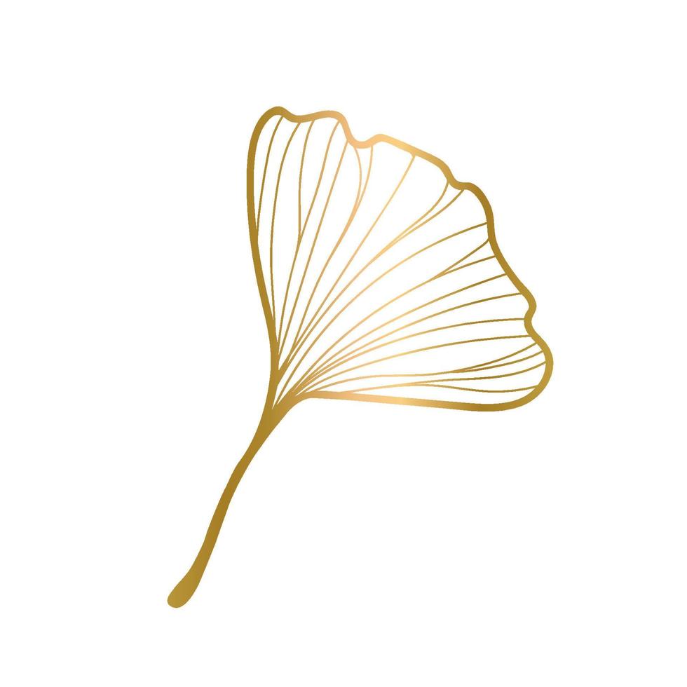 vectorillustratie van ginkgo biloba blad. inkt lijn kunst ontwerp vector