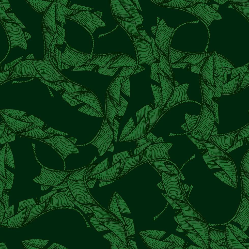 bananenbladeren naadloze pattern.vintage tropische tak in gravure stijl. vector