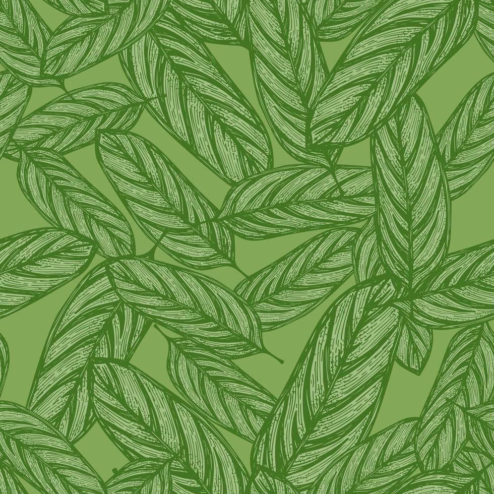 alocasia verlaat naadloze patroon. vintage tropische tak in gravure stijl. vector