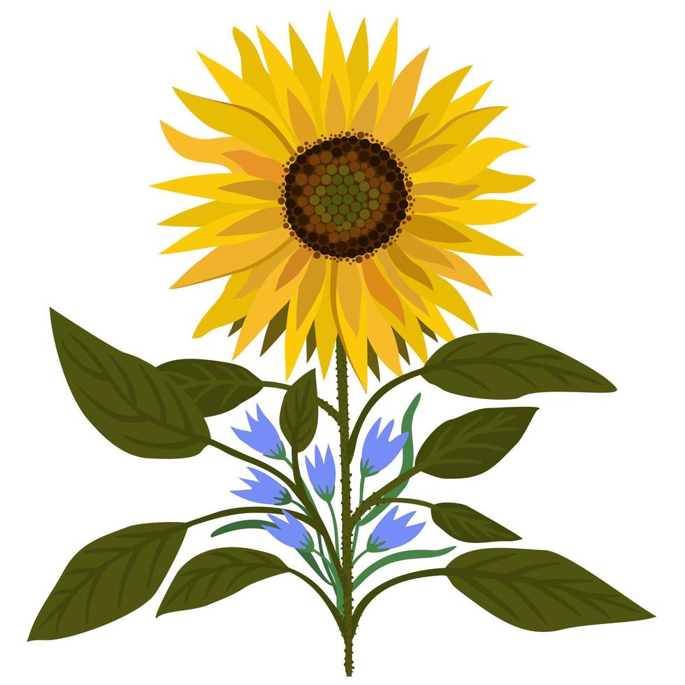 vector geïsoleerde illustratie van zonnebloem en kleine bellflowers.