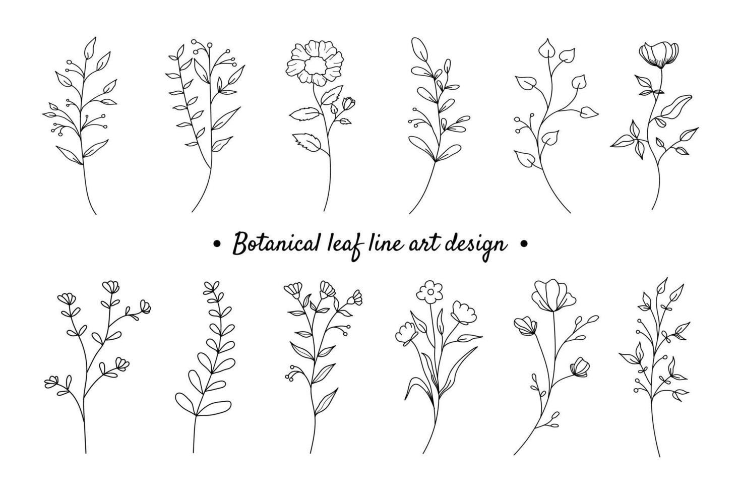 set van botanische plant met bloemen lijntekeningen element ontwerp vector
