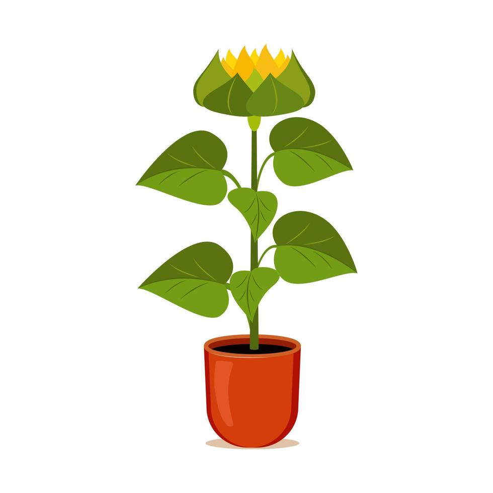 zonnebloem groeit in een bloempot. vectorillustratie van cartoon gele bloem. vector