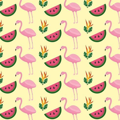 Tropische flamingo watermeloen bloem achtergrond vector