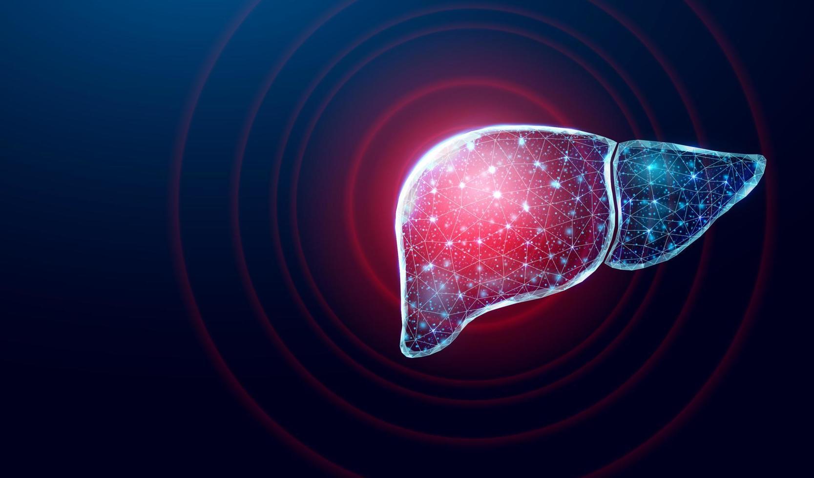 menselijke leverpijn. draadframe laag poly-stijl. concept voor medische, farmacologie, behandeling van de hepatitis. abstracte moderne 3d vectorillustratie op donkerblauwe achtergrond. vector