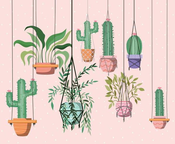 kamerplanten in macrame-hangers vector