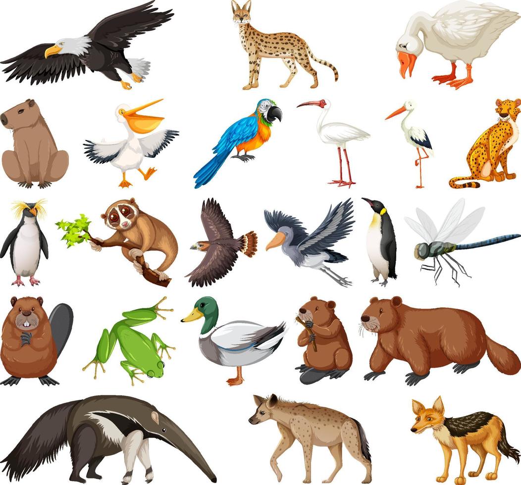 verschillende soorten dieren collectie vector