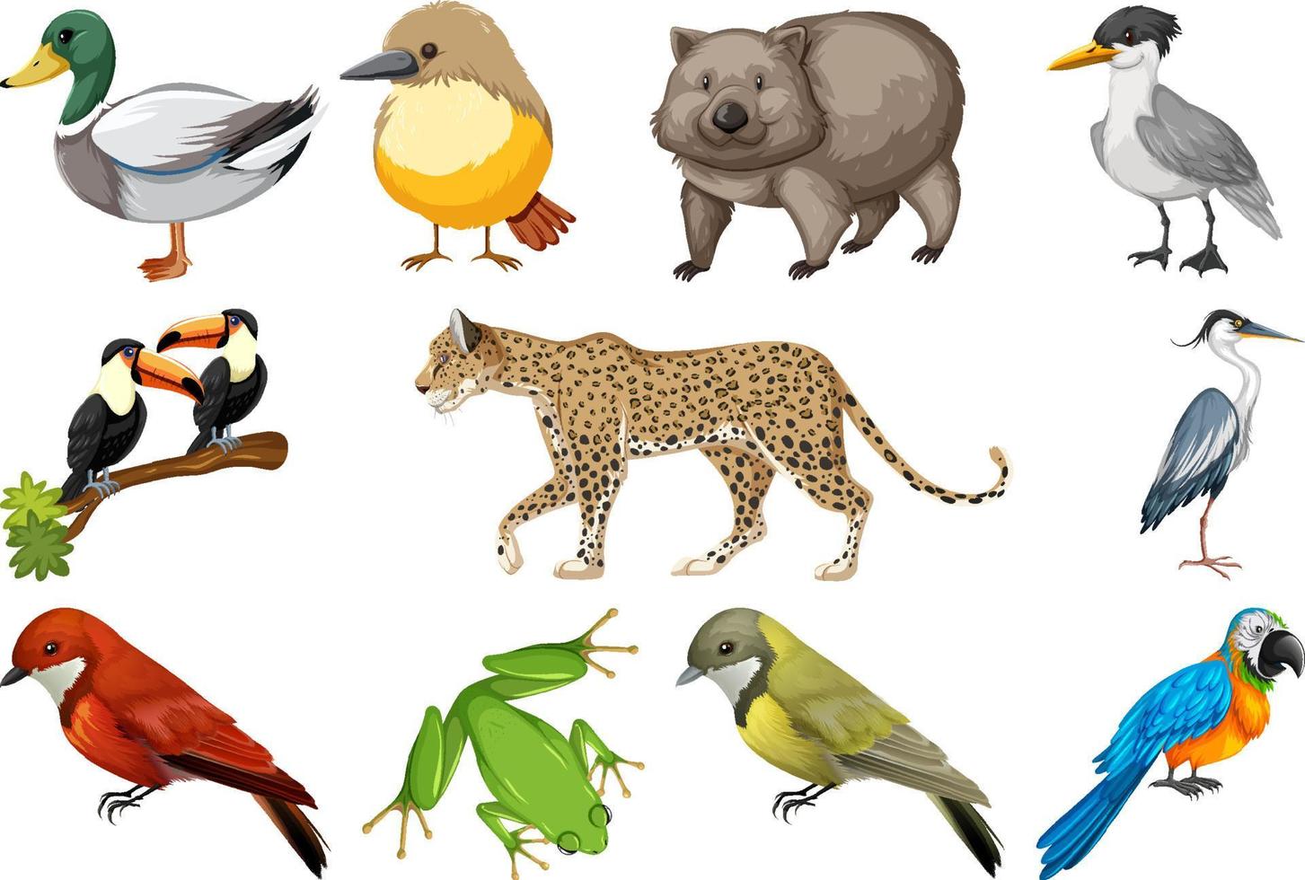 verschillende soorten dieren collectie vector