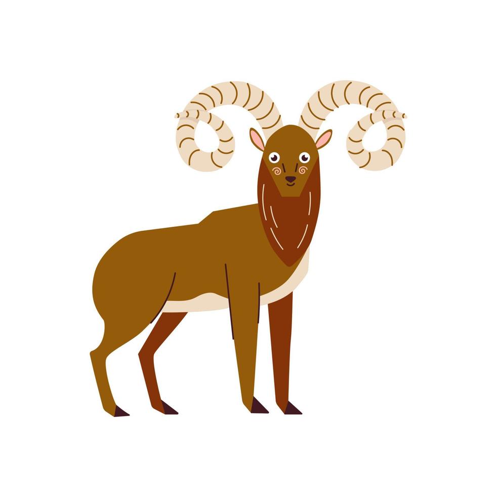 een cartoon urial met lange krullende hoorns vectorillustratie geïsoleerd op een witte achtergrond. schattig wild dier vector