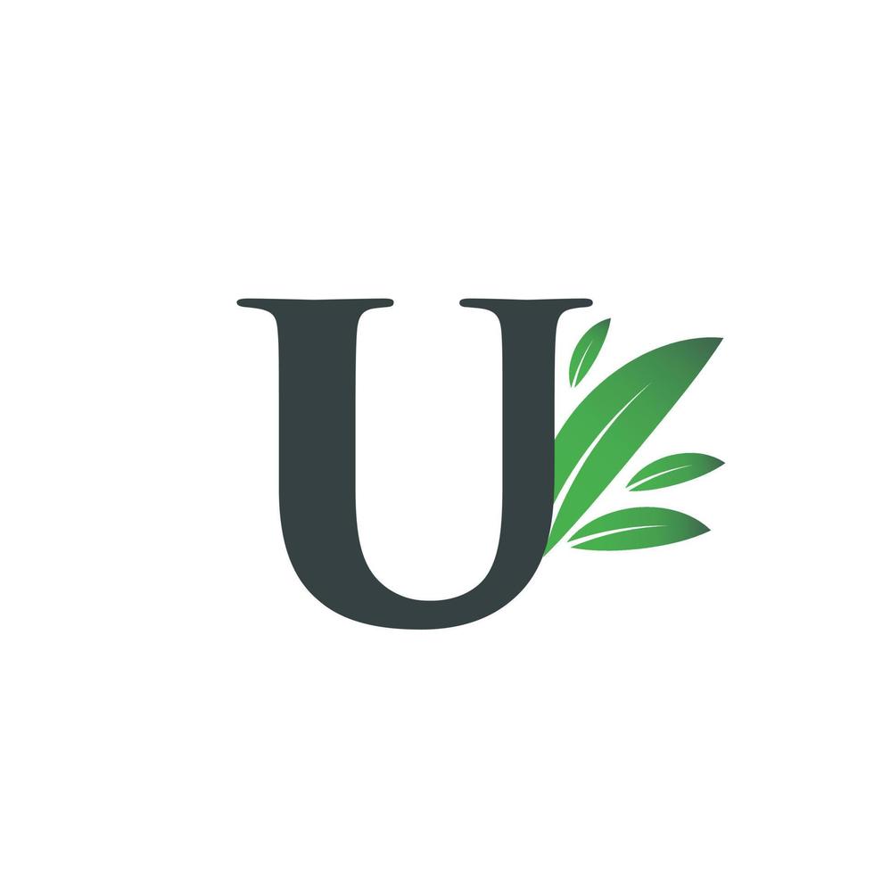 beginletter u blad logo vector