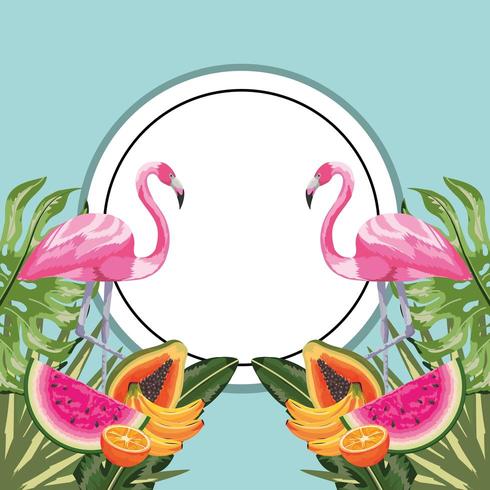 cirkelsticker met flamingo en tropisch fruit vector